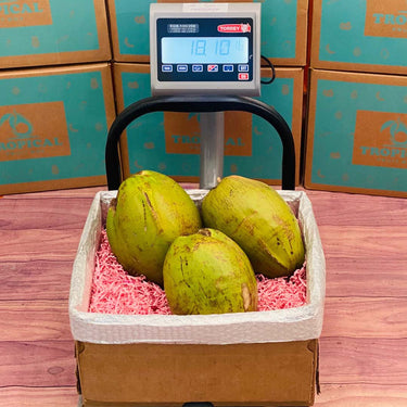 Green Coconut Box Coconuts Tropical Fruit Box